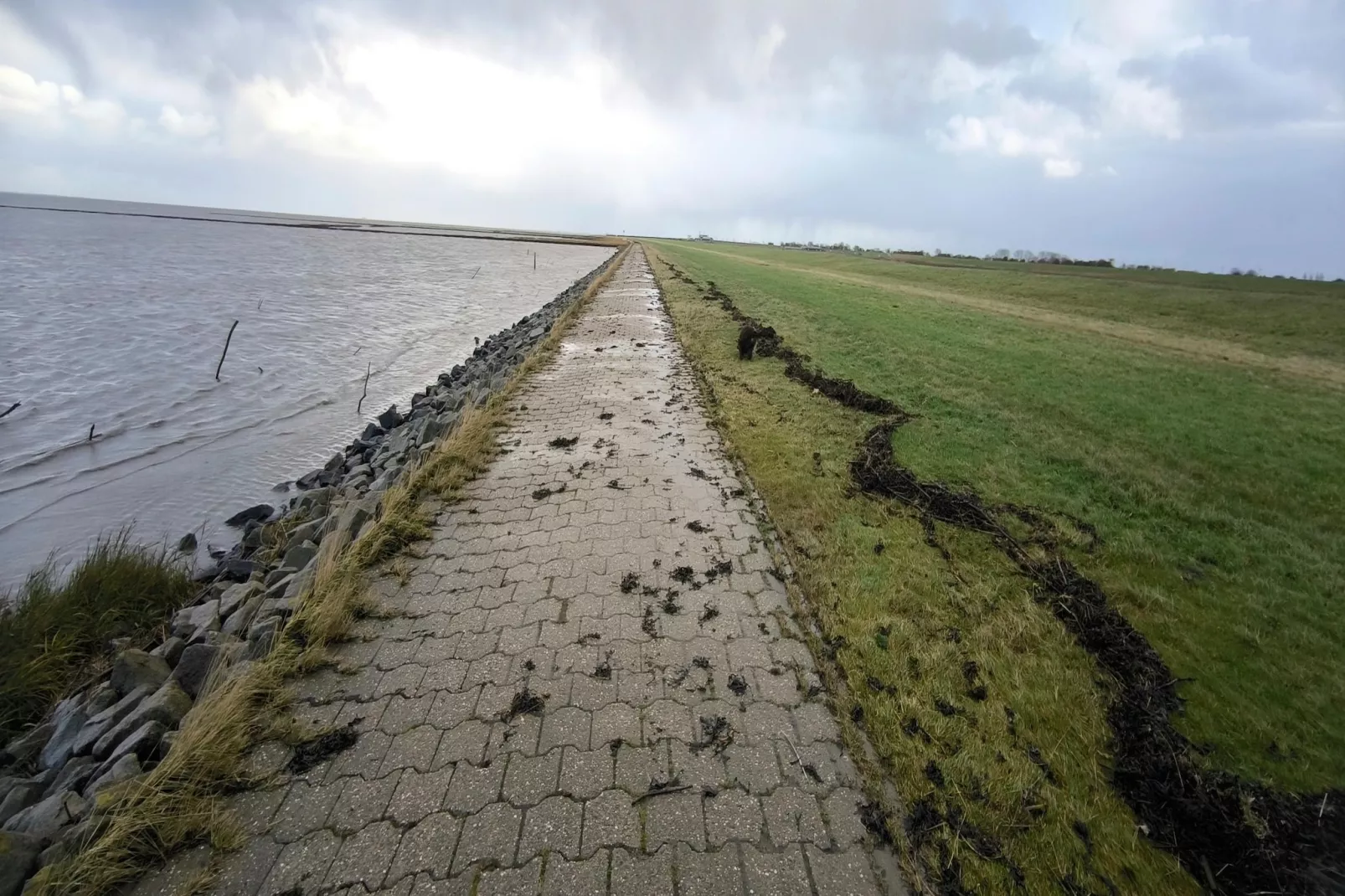 Doppelhaushälfte Wattwurm 34-Gebieden zomer 5km