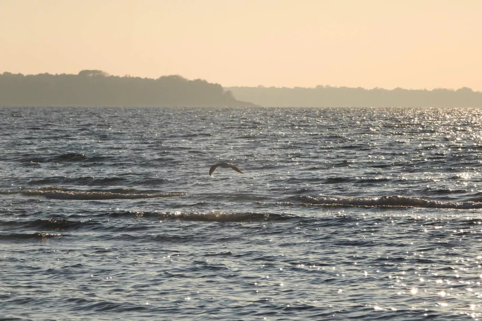 8 Personen vakantie huis in Asnæs-Waterzicht