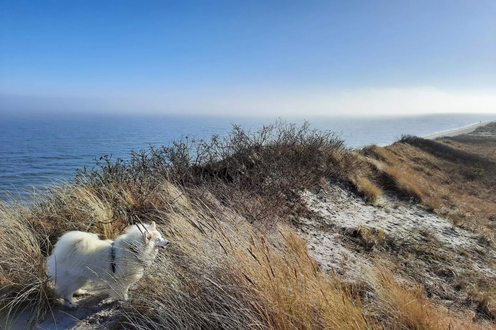 Rustig Boerderij Annex -- By Traum Ferienwohnungen-Waterzicht
