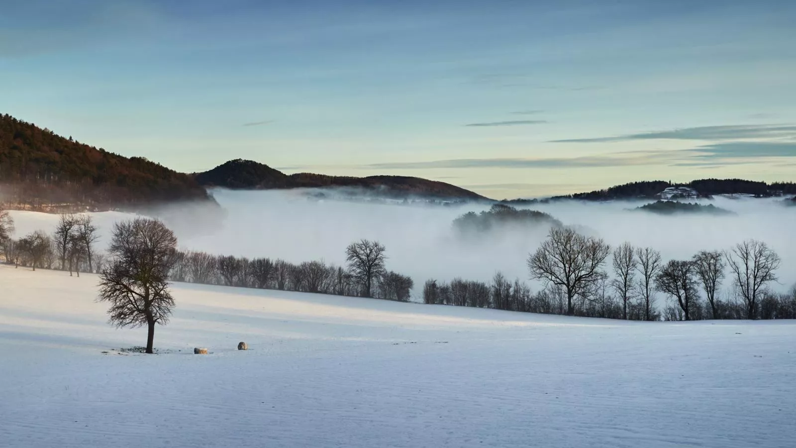 Wienerwaldblick-Gebied winter 20km