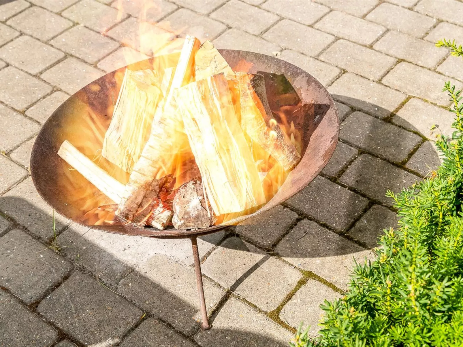 "Nauka" - 400m to the fjord-Buiten