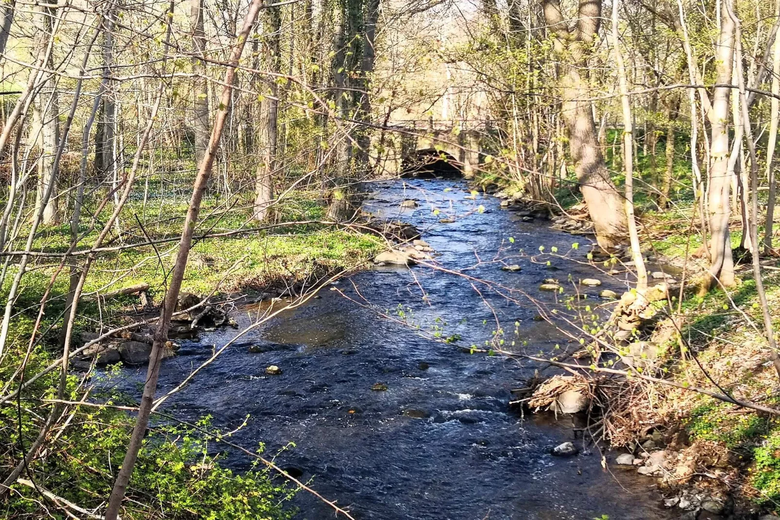 Goed onderhouden vakantiehuis in Faborg-Waterzicht