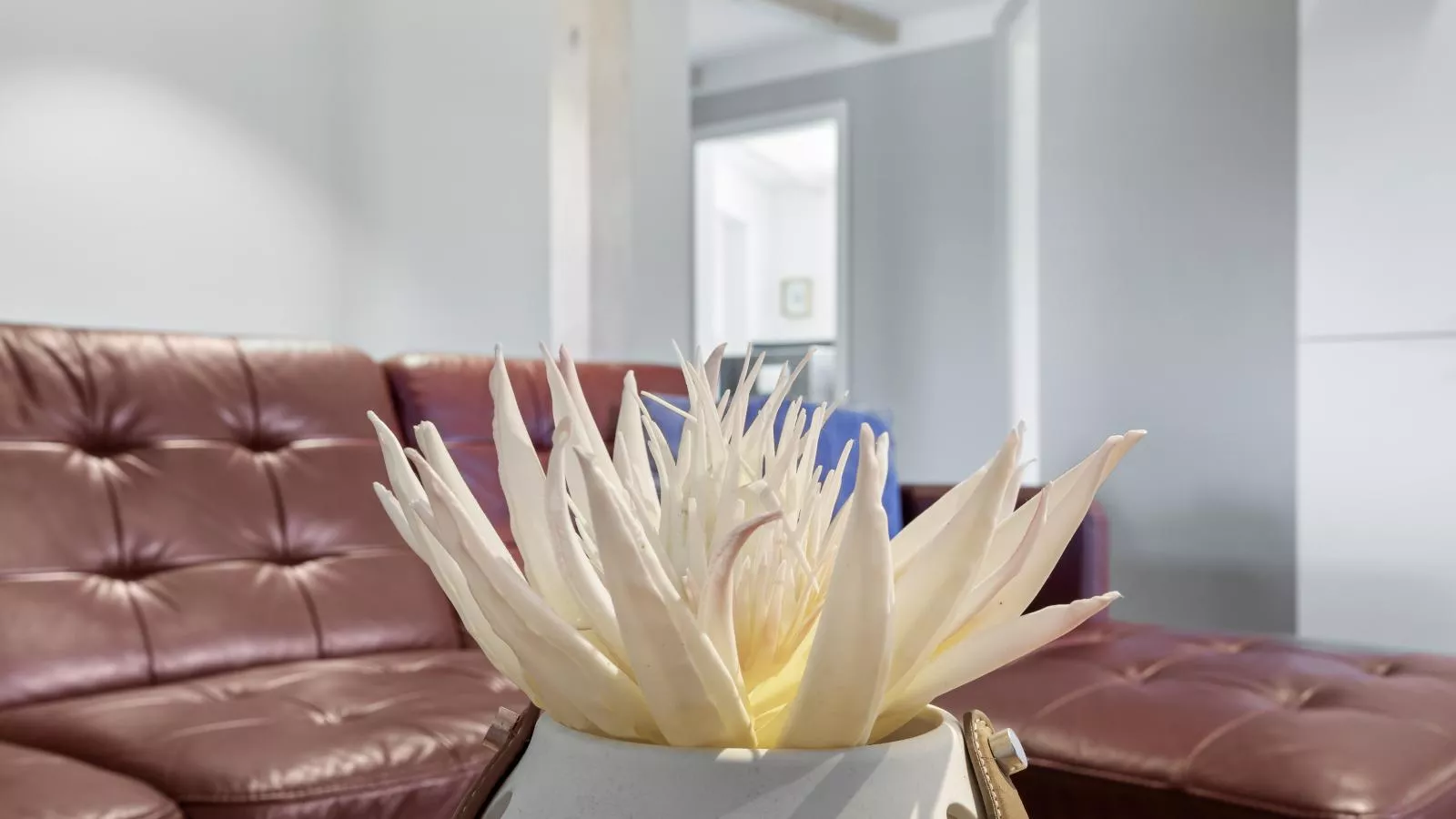 Wilma - direkt an der Ostsee-Sfeer