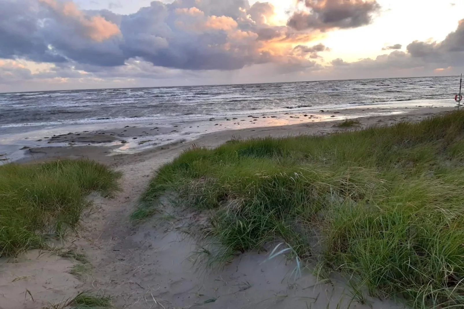 5 Personen vakantie huis in FALKENBERG-Niet-getagd