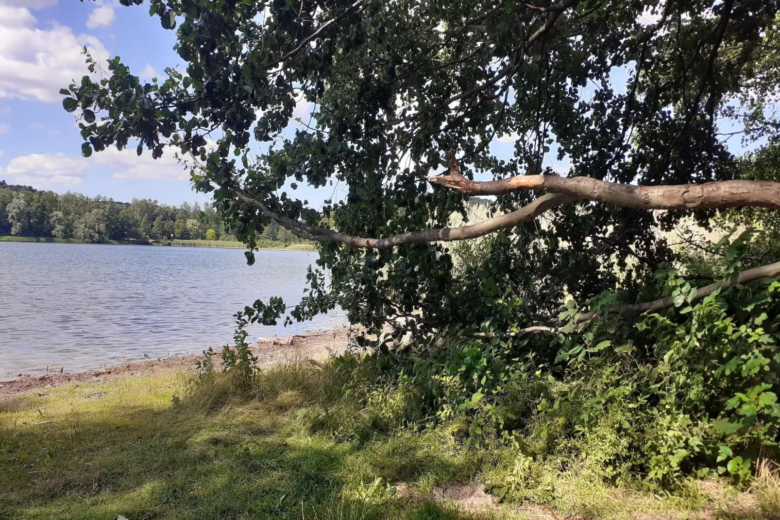 Luxus-Familienappartement / 6 Personen-Gebieden zomer 1km