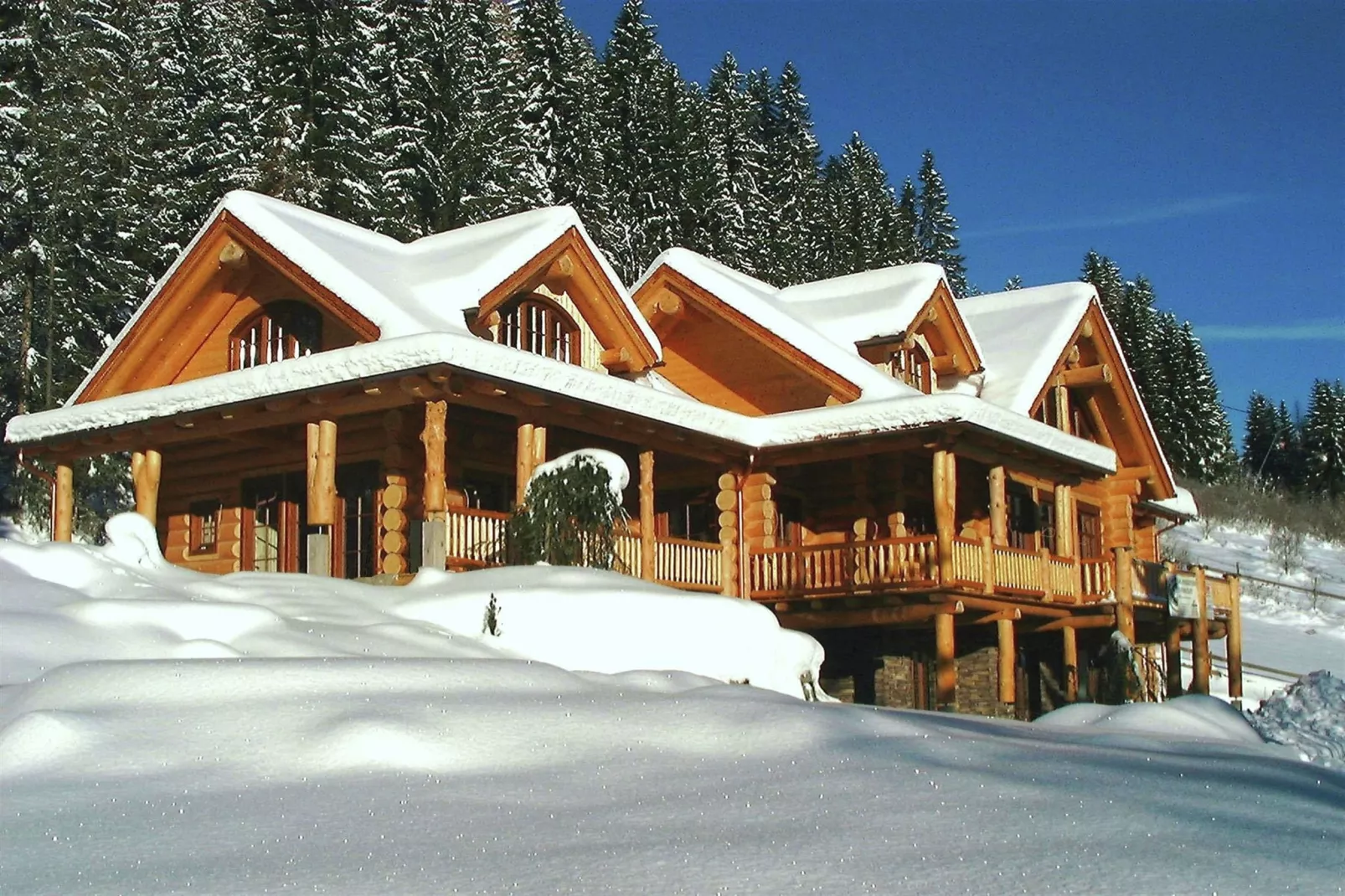 Chalet Caprea-Exterieur winter