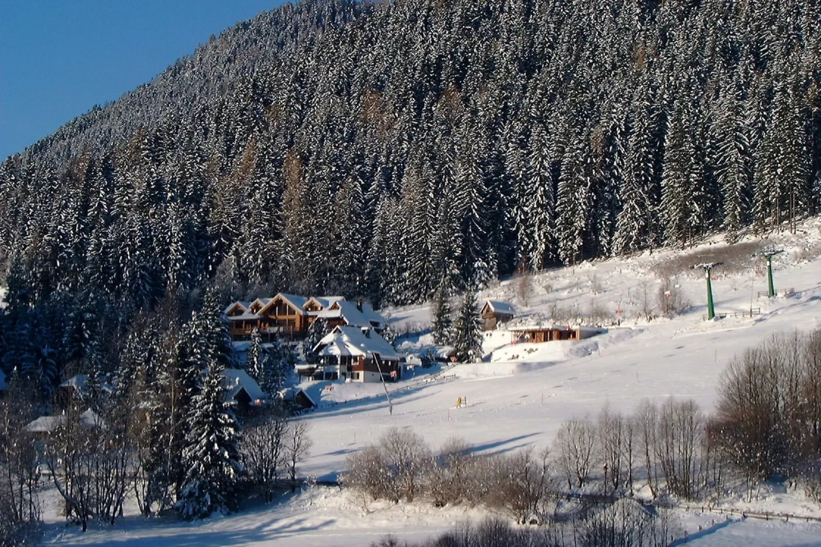 Chalet Caprea-Uitzicht winter