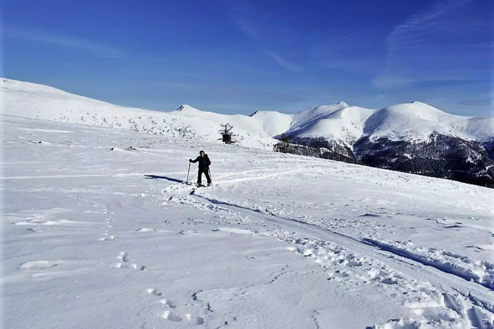 Chalet Caprea-Gebied winter 1km