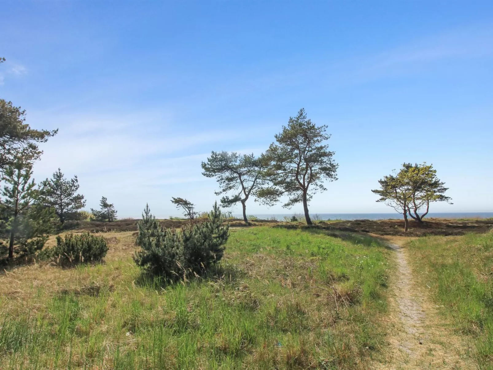 "Eick" - 800m from the sea-Buiten