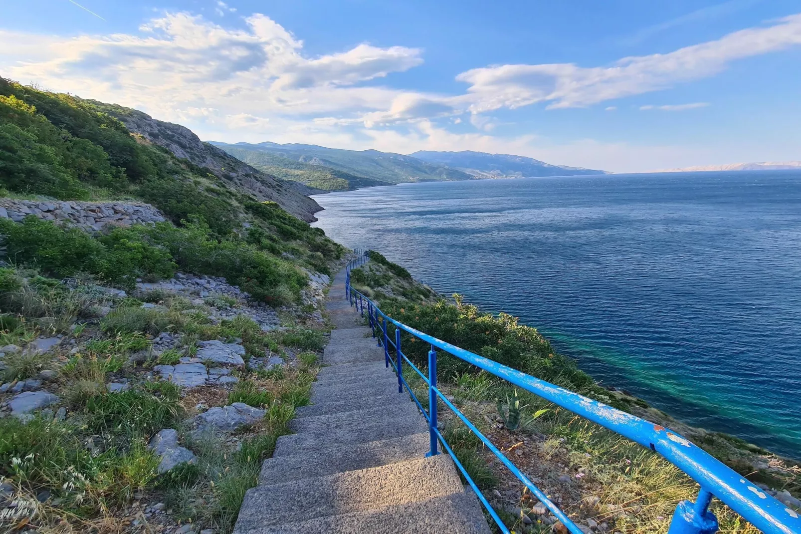 Niko 1-Gebieden zomer 1km