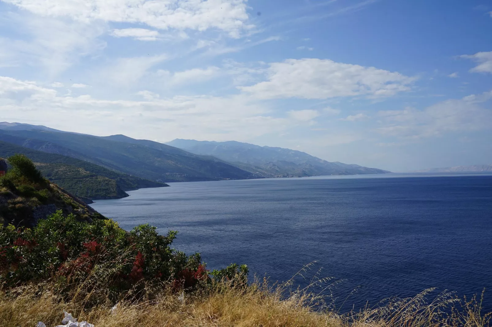 Niko 3-Gebieden zomer 1km