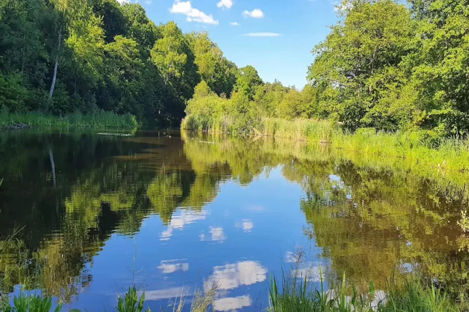 4 sterren vakantie huis in Mjörn-Waterzicht