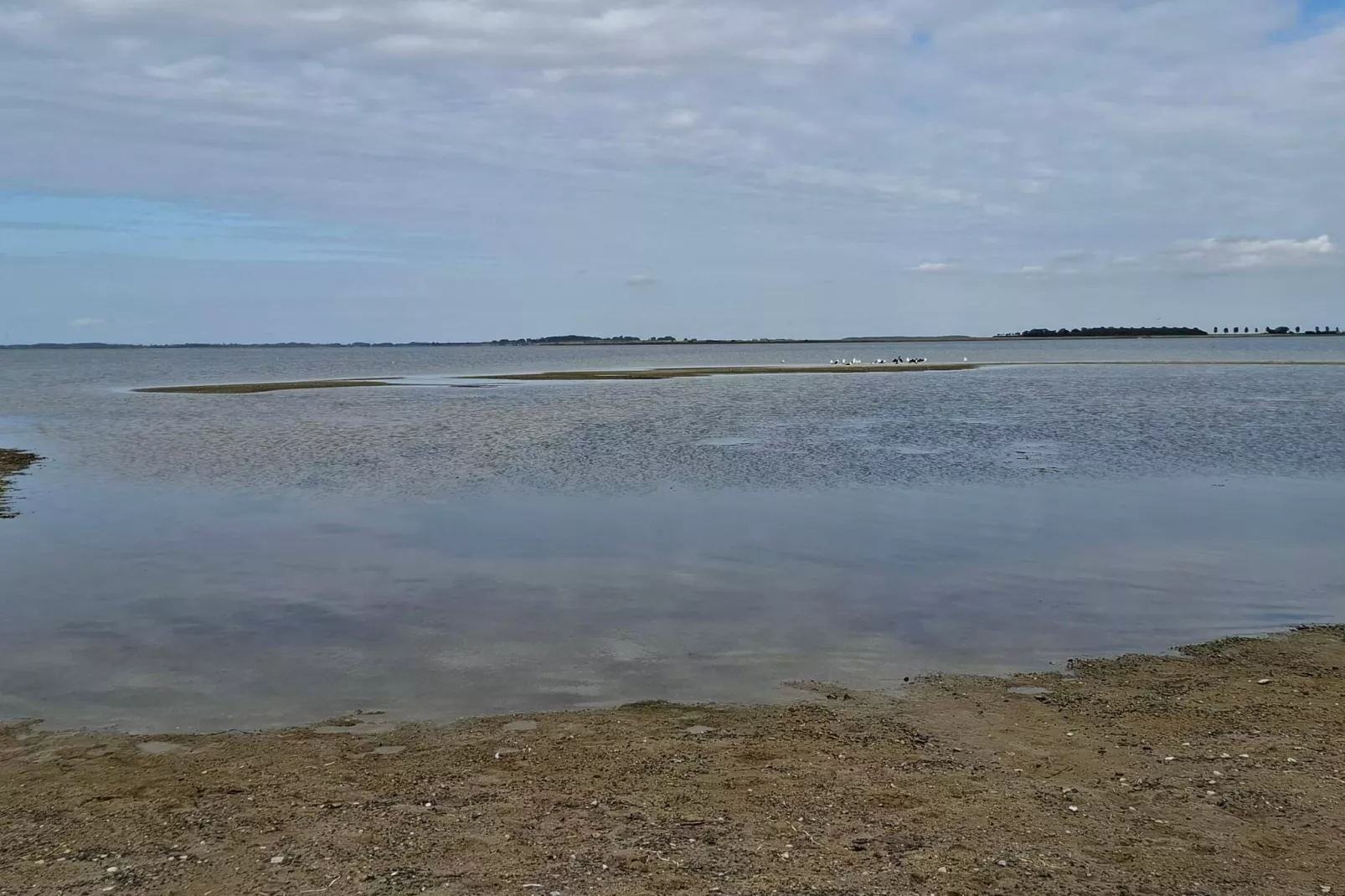 8 Personen vakantie huis in Nakskov-Waterzicht