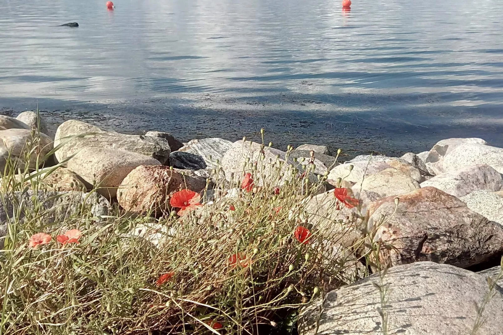 4 sterren vakantie huis in Aalborg-Waterzicht