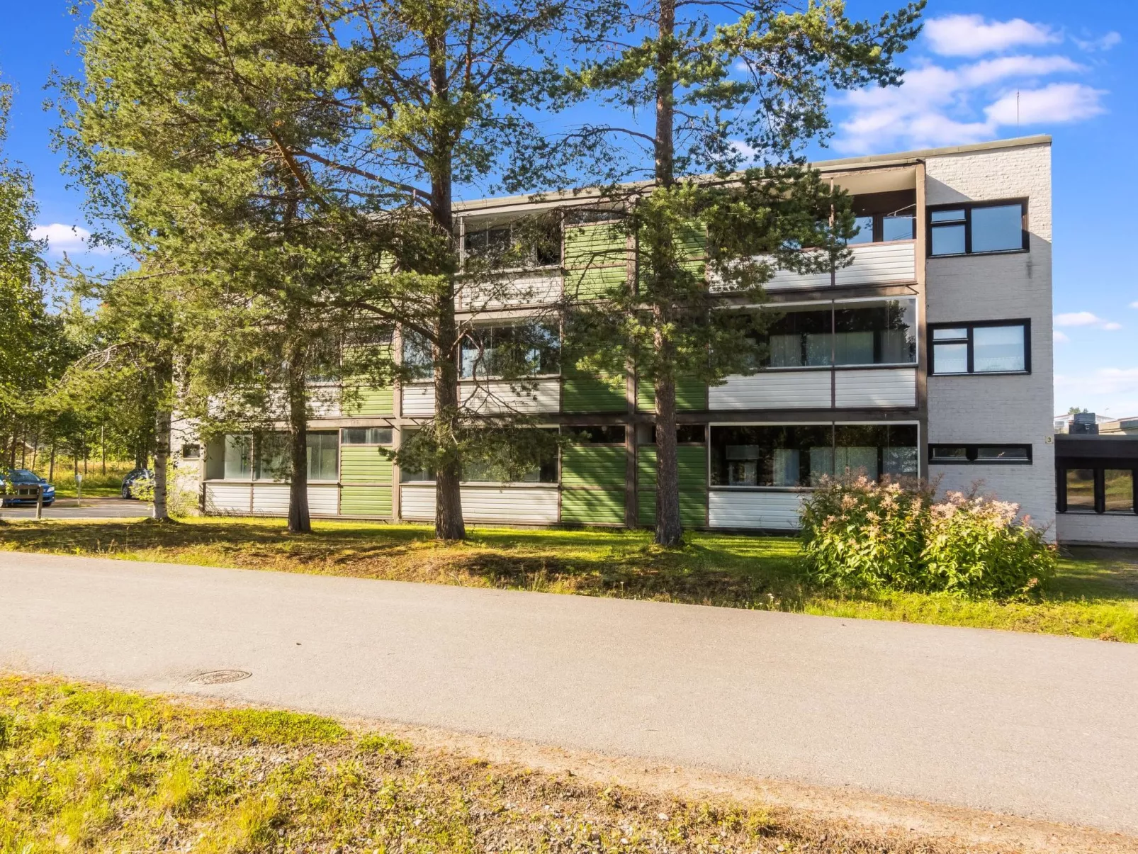 The cozy loggers suite-Binnen