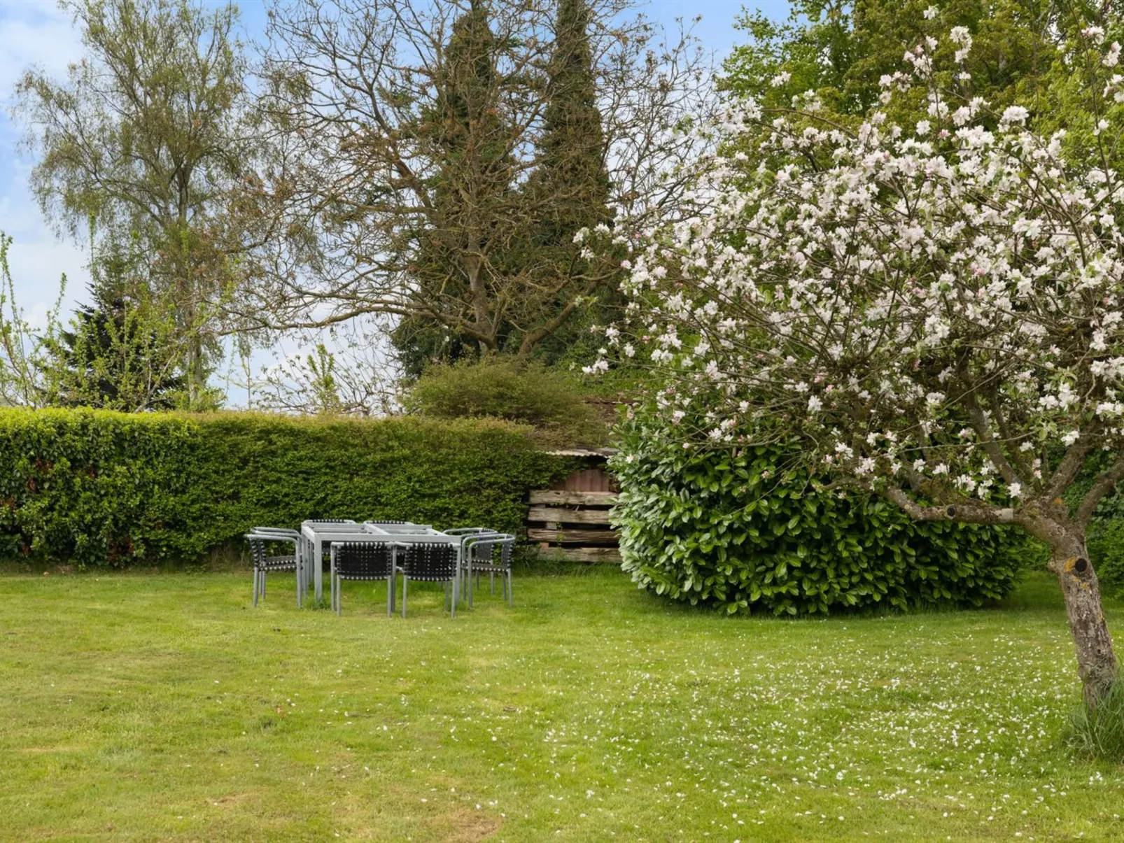 "Andine" - 250m from the sea-Buiten