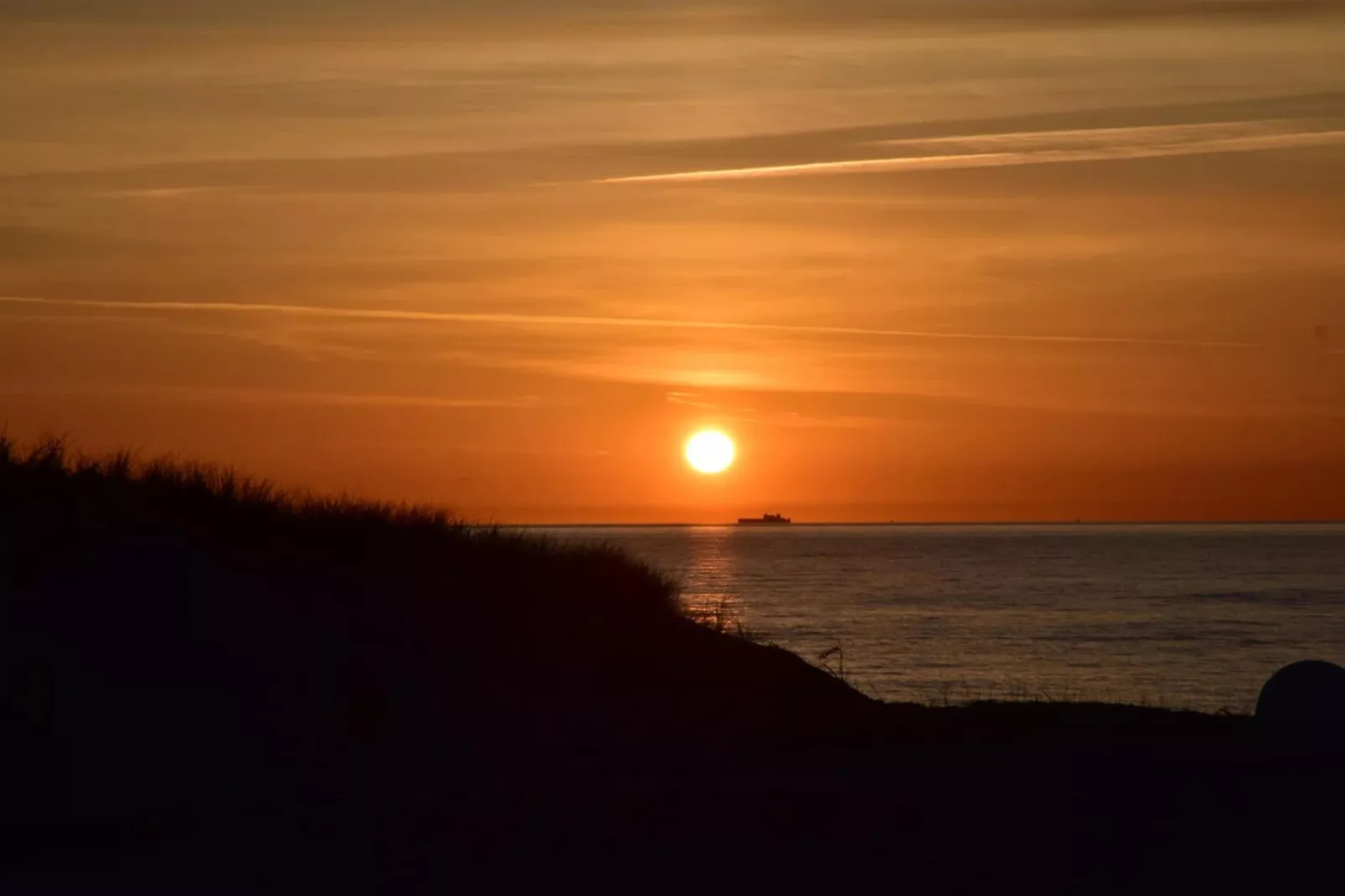 Haus Sonne - Garten Fewo - Strandhotel Fischland-Gebieden zomer 5km