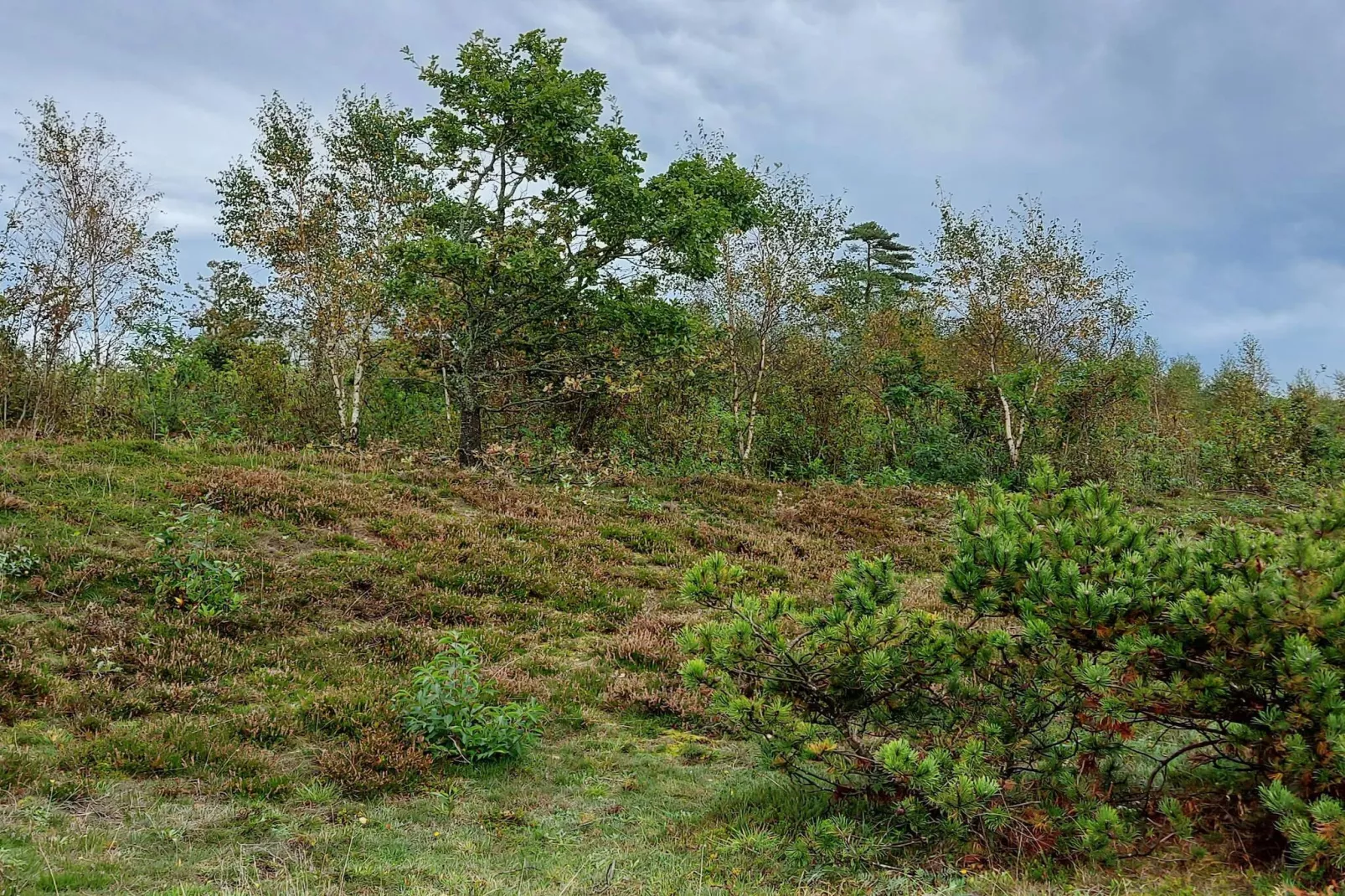 5 sterren vakantie huis in Farsø-Niet-getagd