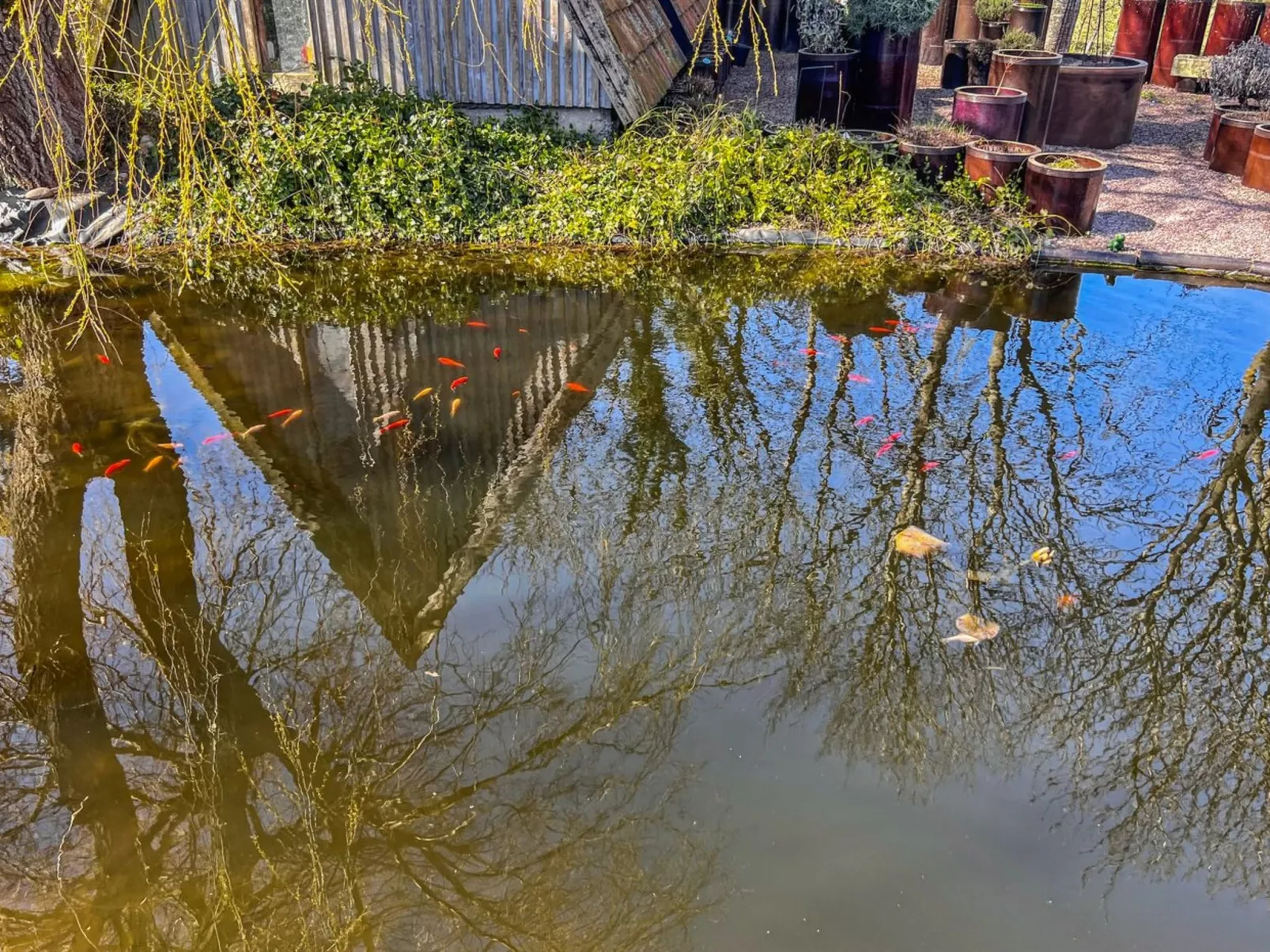 "Singa" - 600m from the sea-Buiten