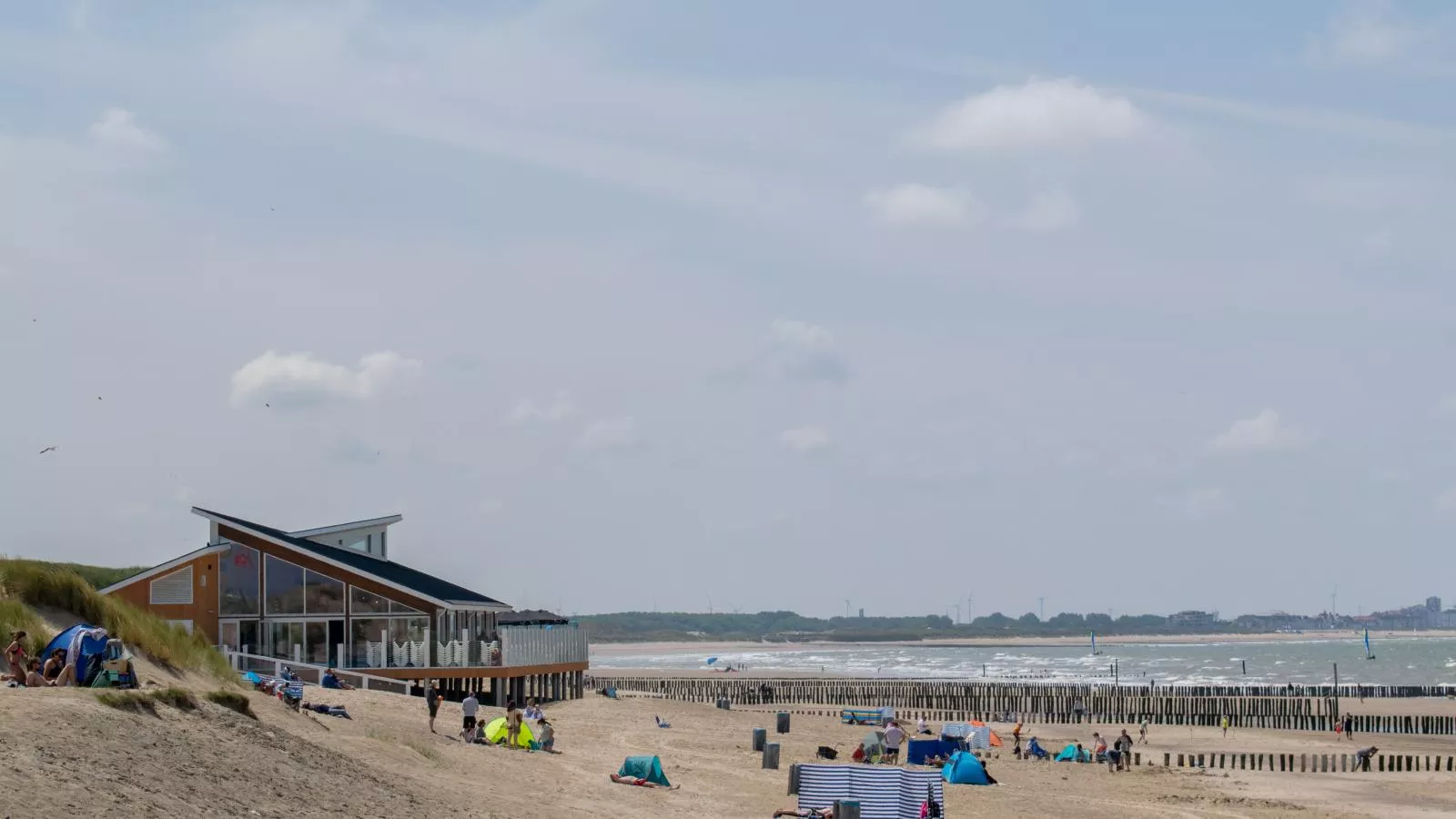 Goudvis-Gebieden zomer 1km