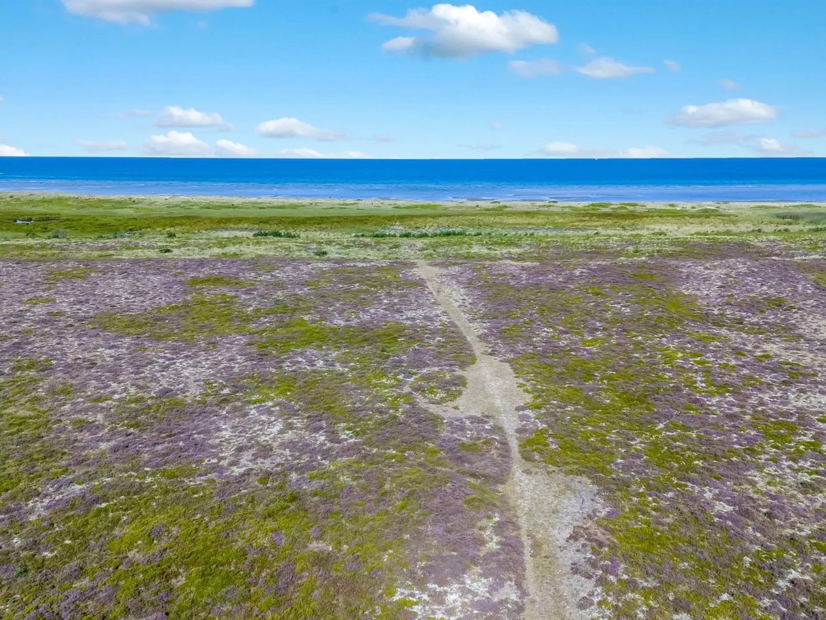 "Lutz" - 340m from the sea