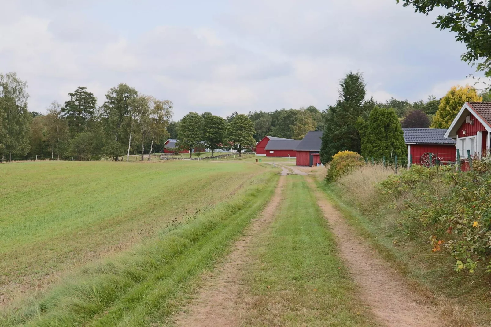 4 Personen vakantie huis in TORUP-Buitenlucht