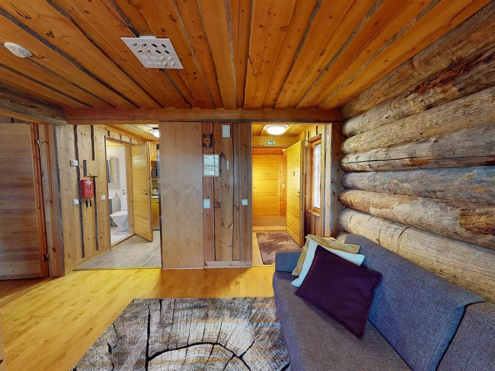 Sokosti - puilakka 1