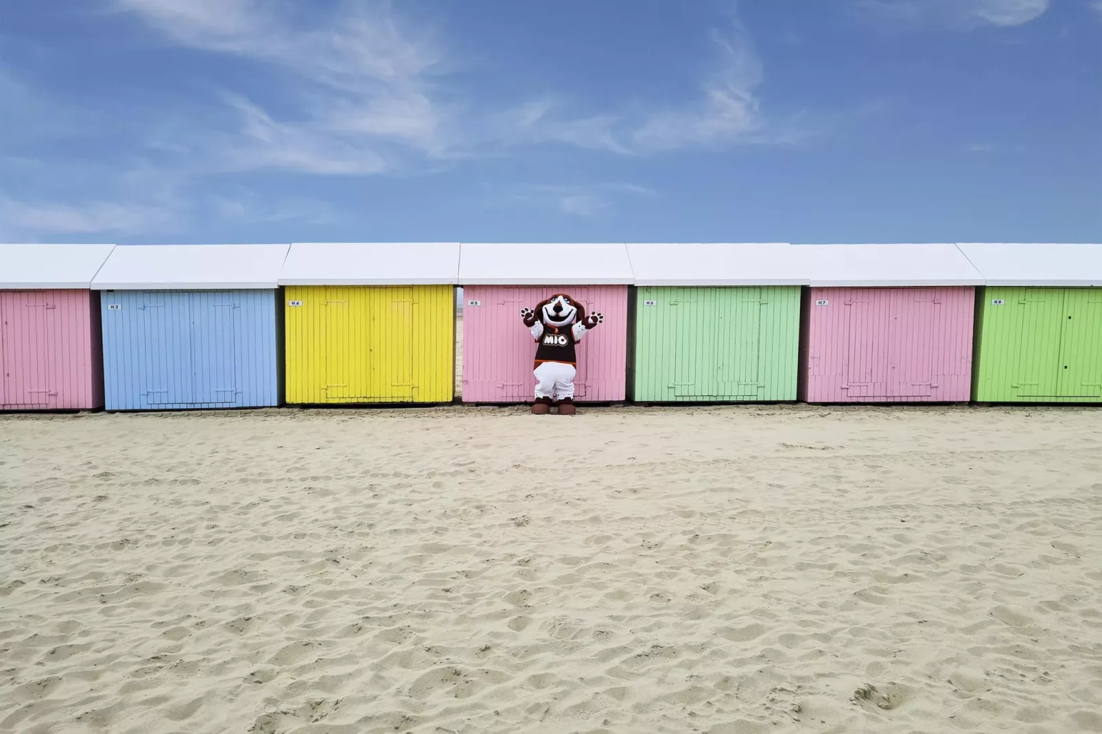 Berck sur Mer 12-Parkfaciliteiten