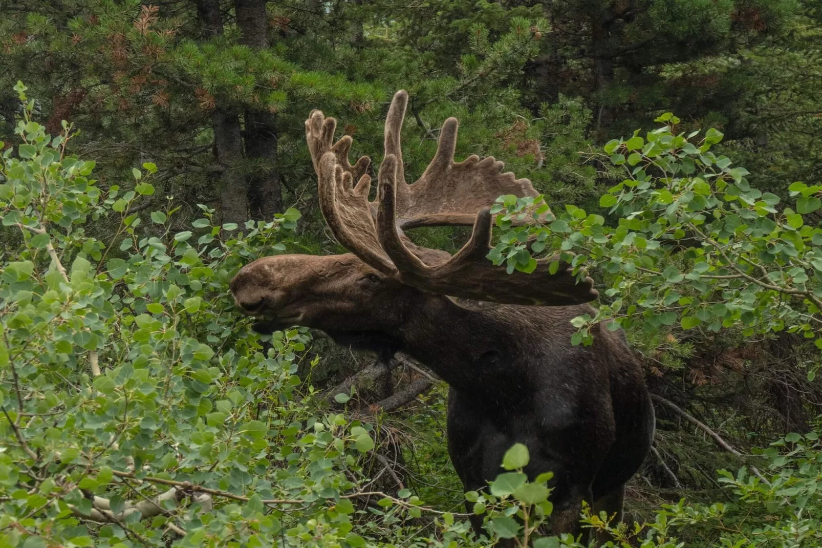7 Personen vakantie huis in KIL-Buitenlucht