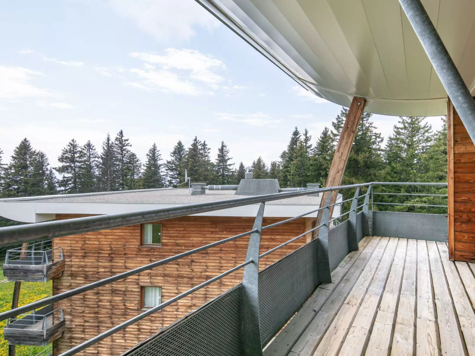 V du Bachat Asters B-Buiten