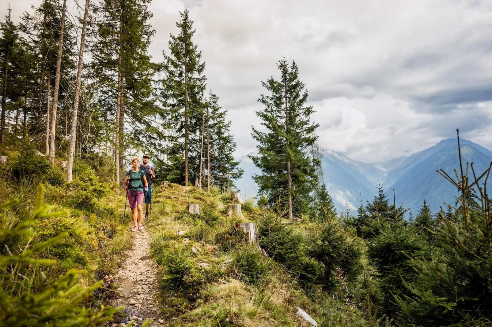 Bauernhaus Bachler-Gebieden zomer 5km