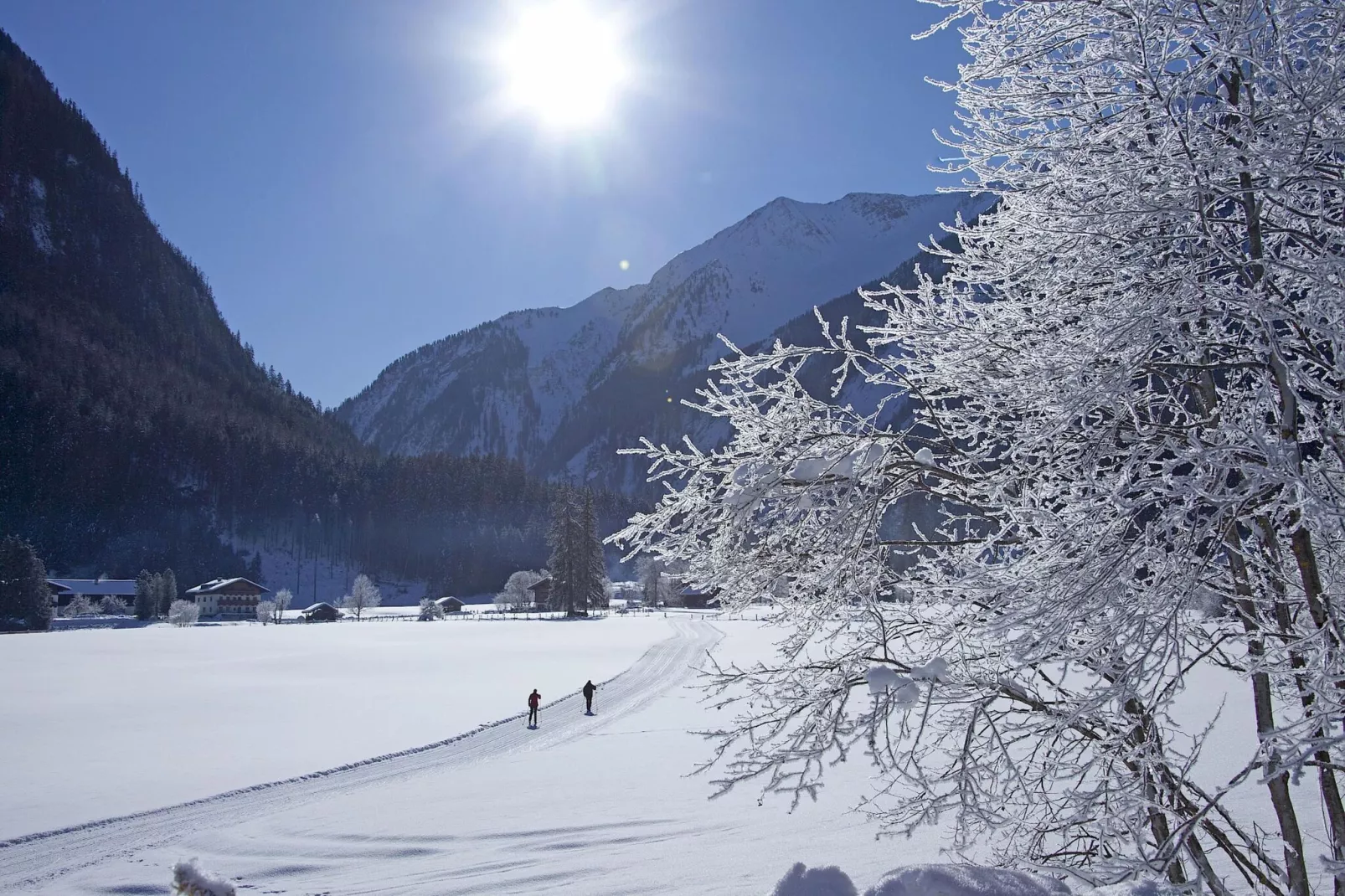 Bauernhaus Bachler-Gebied winter 5km