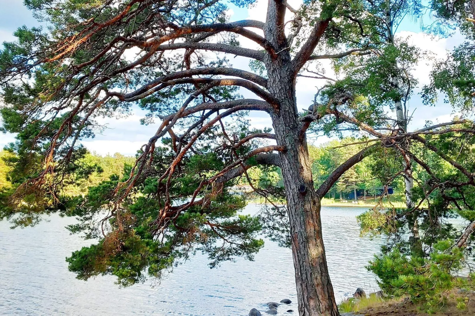7 persoons vakantie huis in INGARÖ-By Traum-Niet-getagd