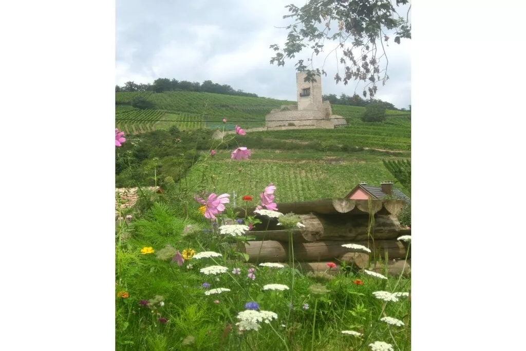 479485 - Niet-getagd