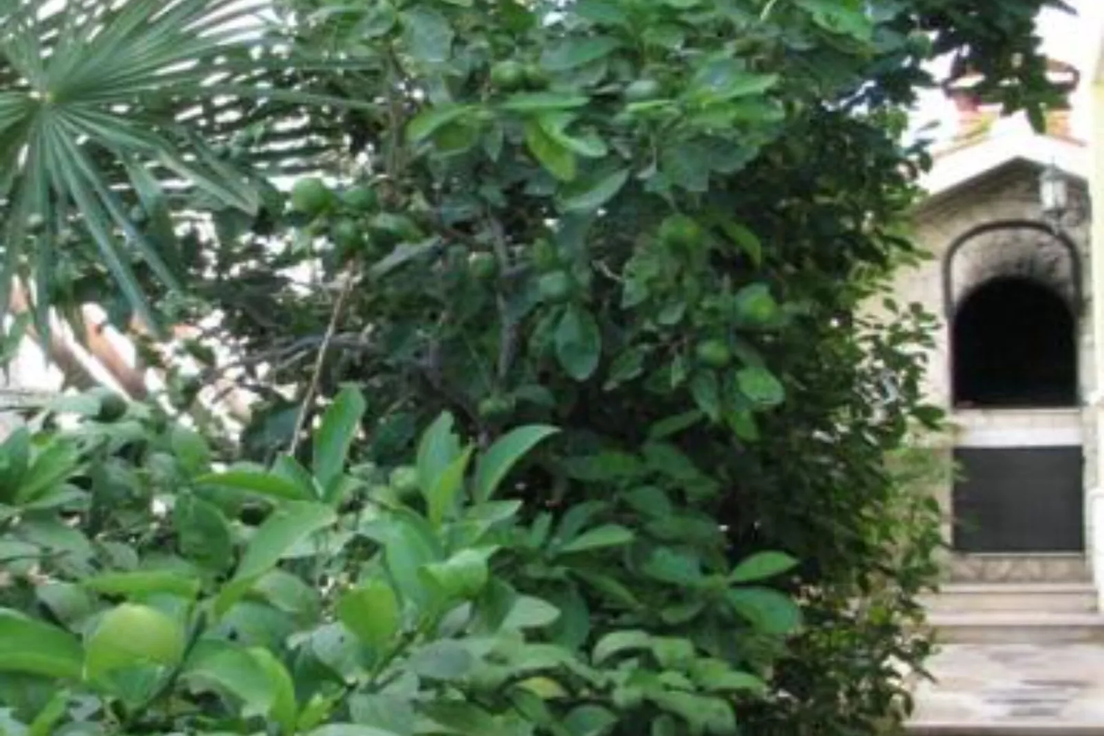 Apartments Milakovic-Kanica - Standard  One Bedroom Apartment with Sea View and Terrace (BR. 2)-Buitenlucht