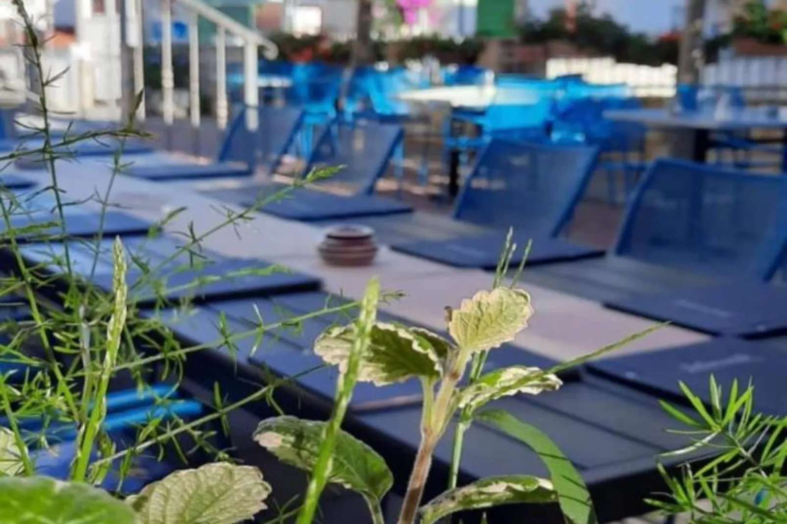 Peaceful Apartments With Style - Classsic Two Bedroom Apartment-Buitenlucht