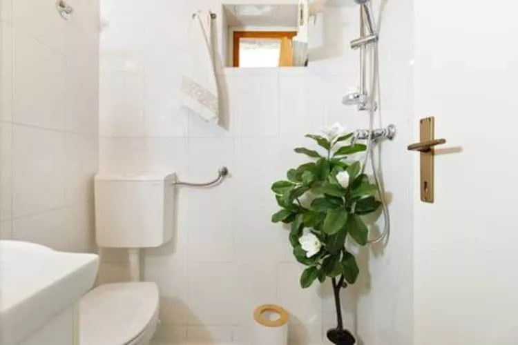 Holiday Home Lišnjak - Three Bedroom Holiday Home with Pool-Badkamer