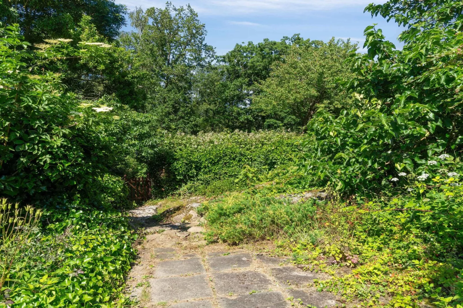 5 sterren vakantie huis in Svaneke-Buitenlucht