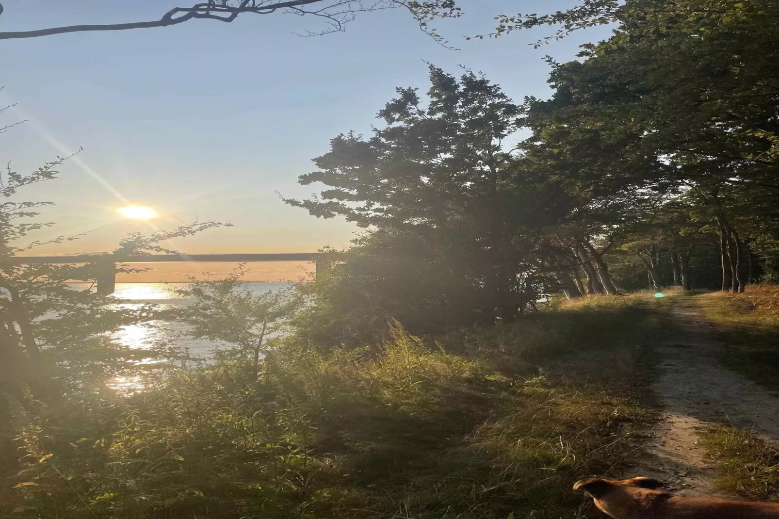 5 sterren vakantie huis in Vordingborg-Niet-getagd