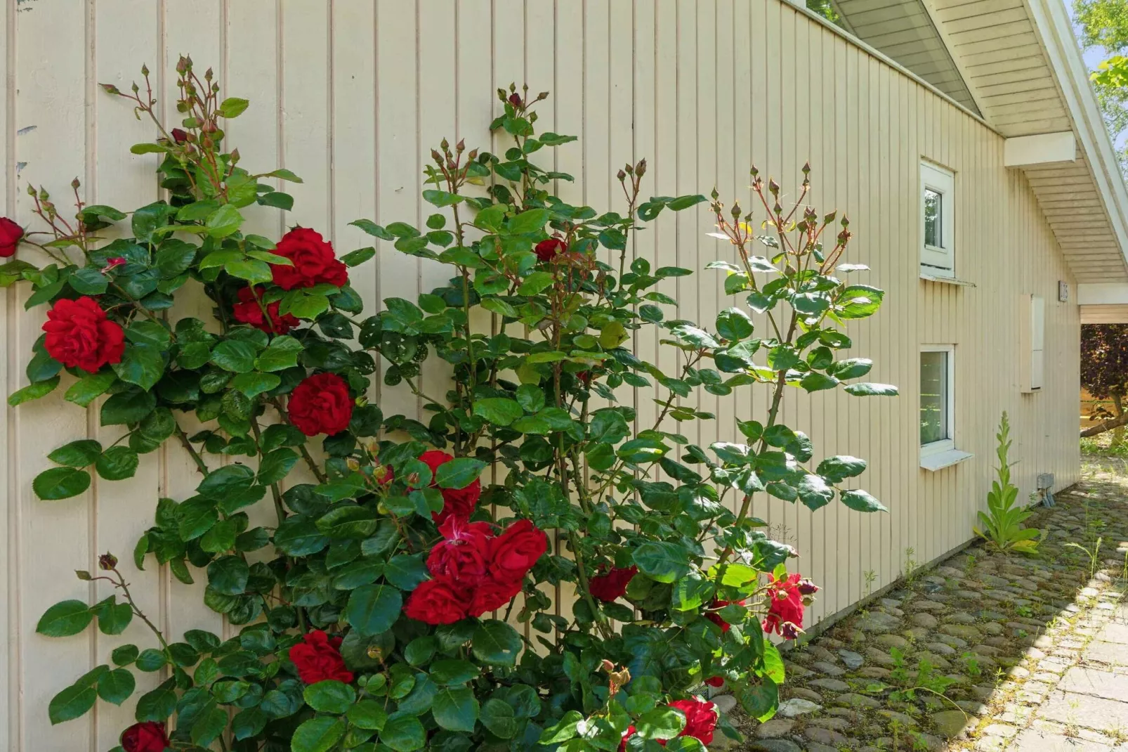 5 sterren vakantie huis in Strøby-Buitenlucht