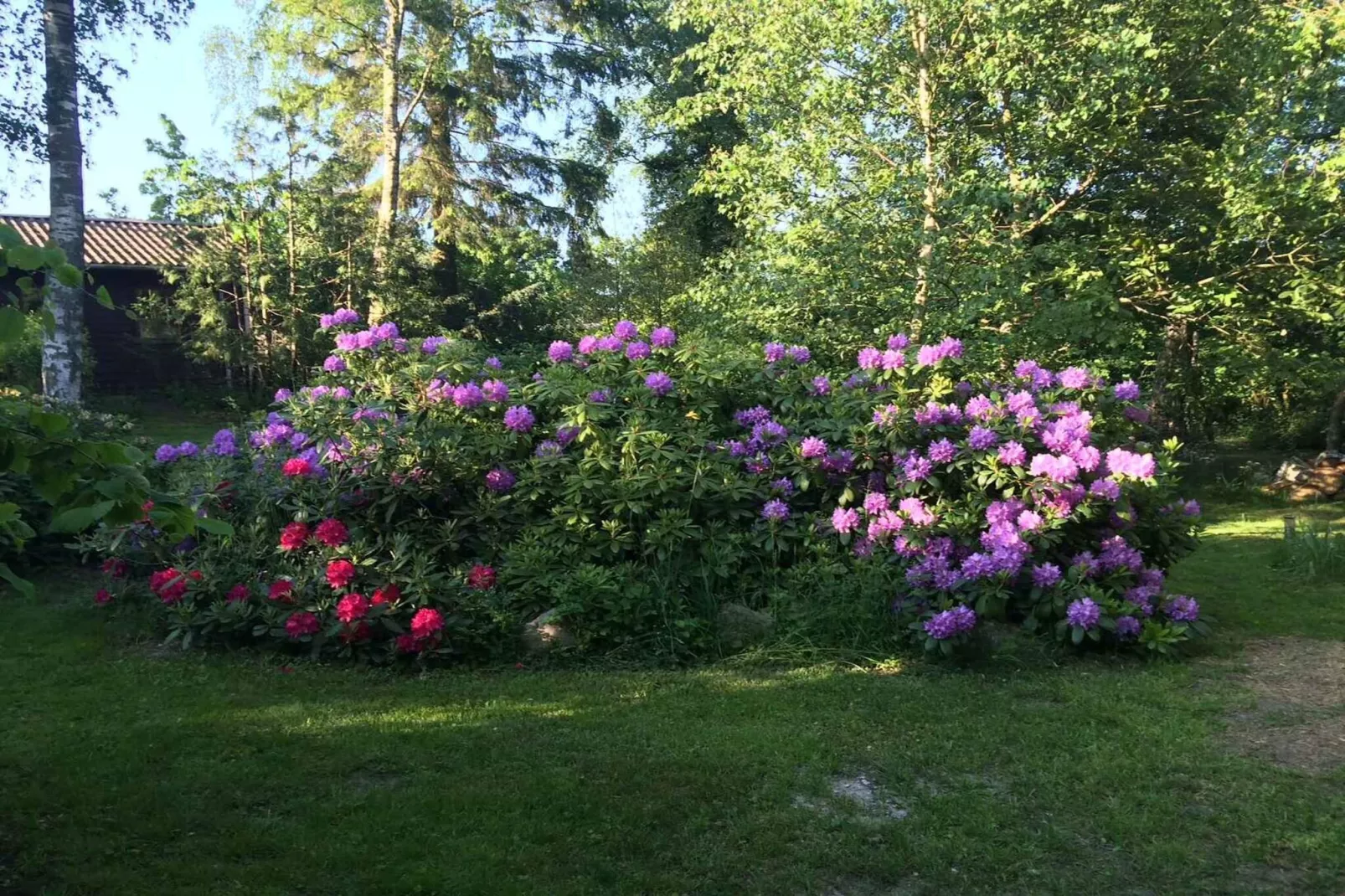 5 sterren vakantie huis in Fårevejle-Buitenlucht