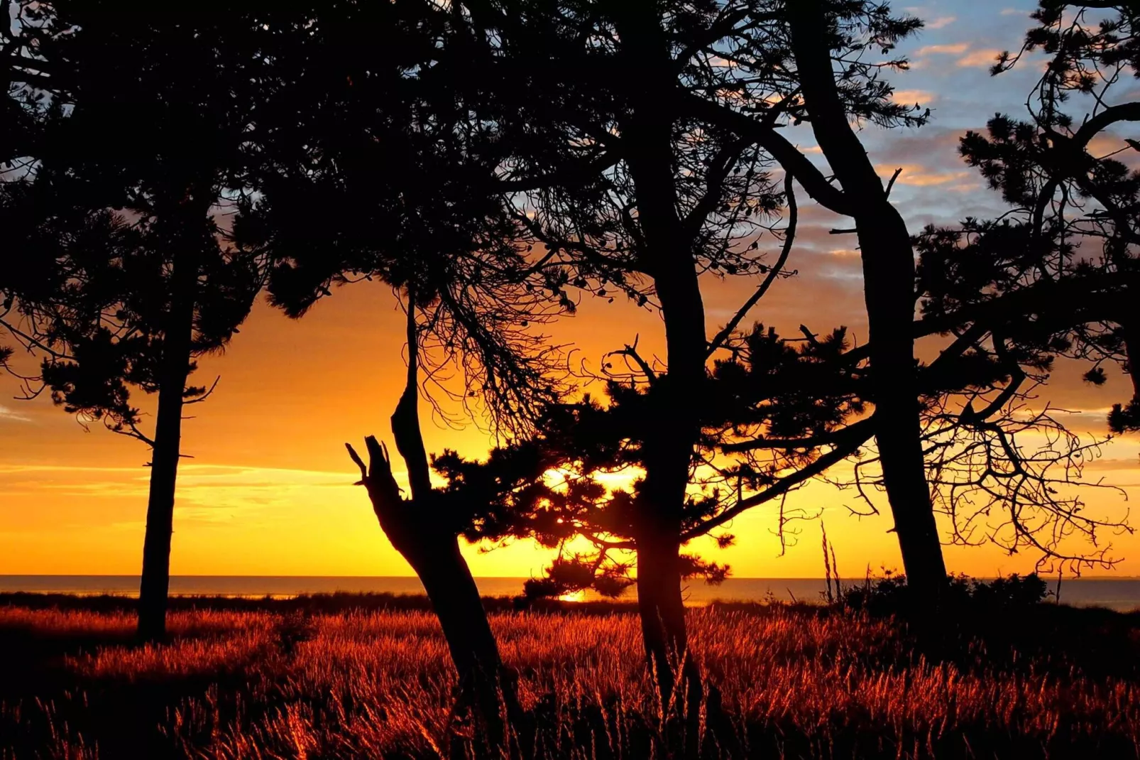 5 sterren vakantie huis in Asnæs-Buitenlucht