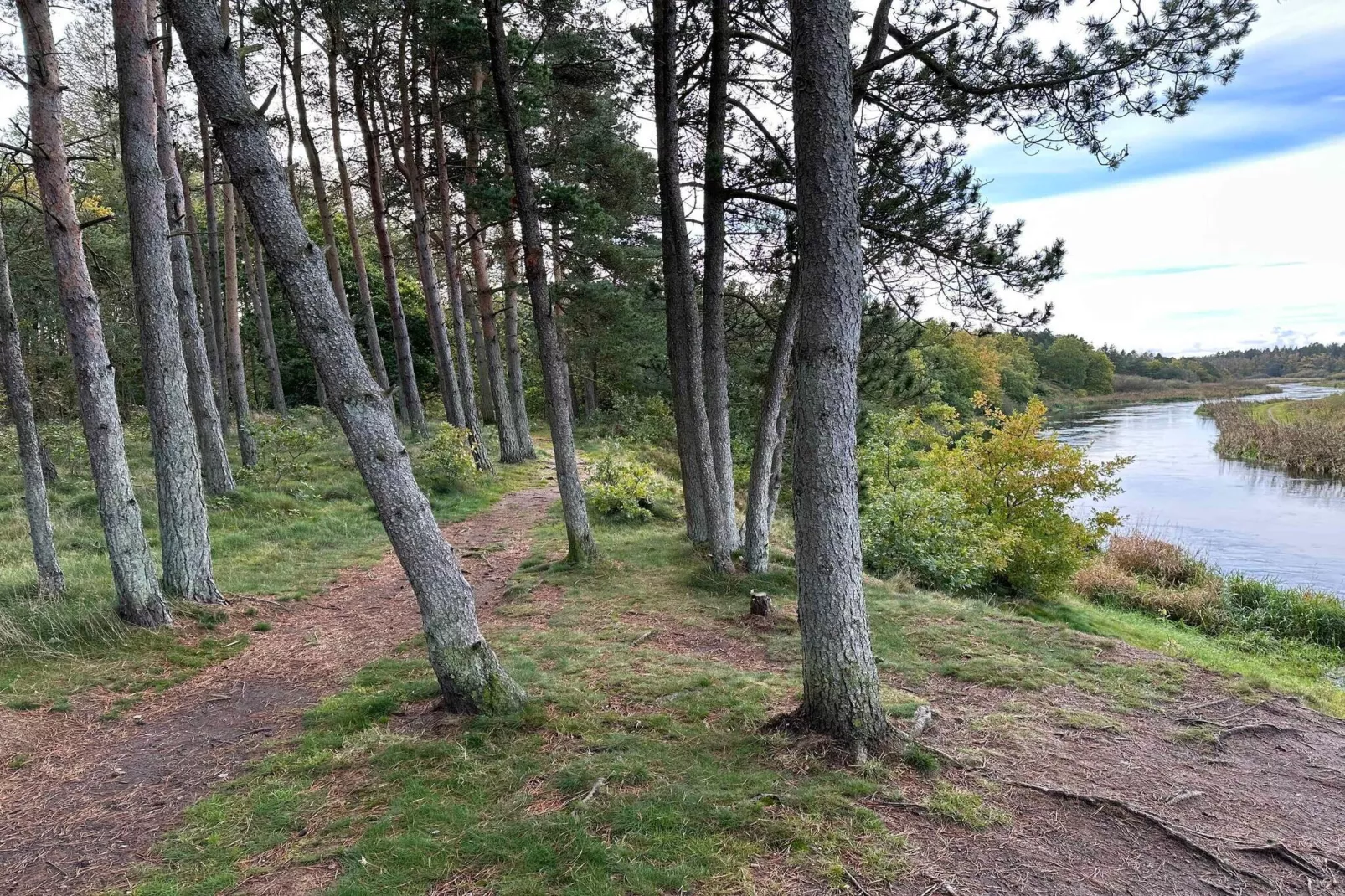 5 sterren vakantie huis in Fårvang-Buitenlucht