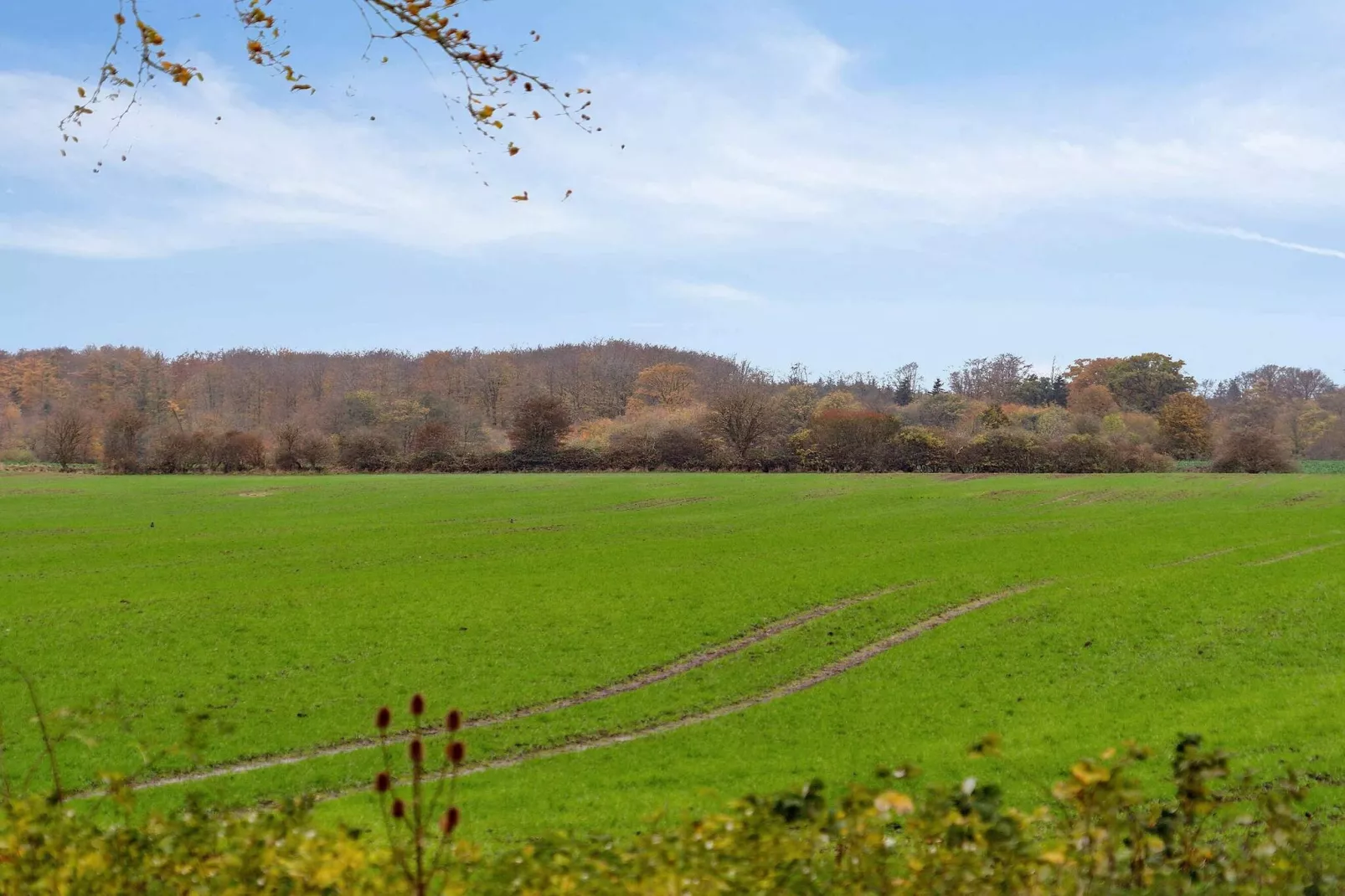 5 sterren vakantie huis in Gudbjerg Sydfyn-Niet-getagd