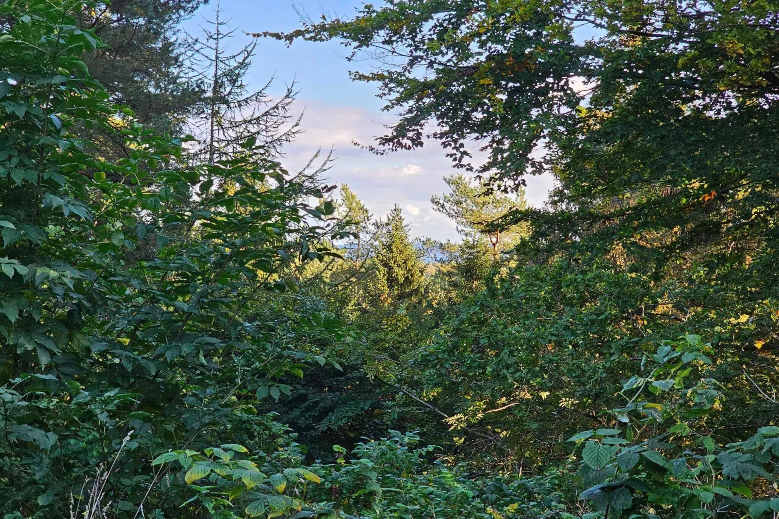 5 sterren vakantie huis in Ebeltoft-Buitenlucht