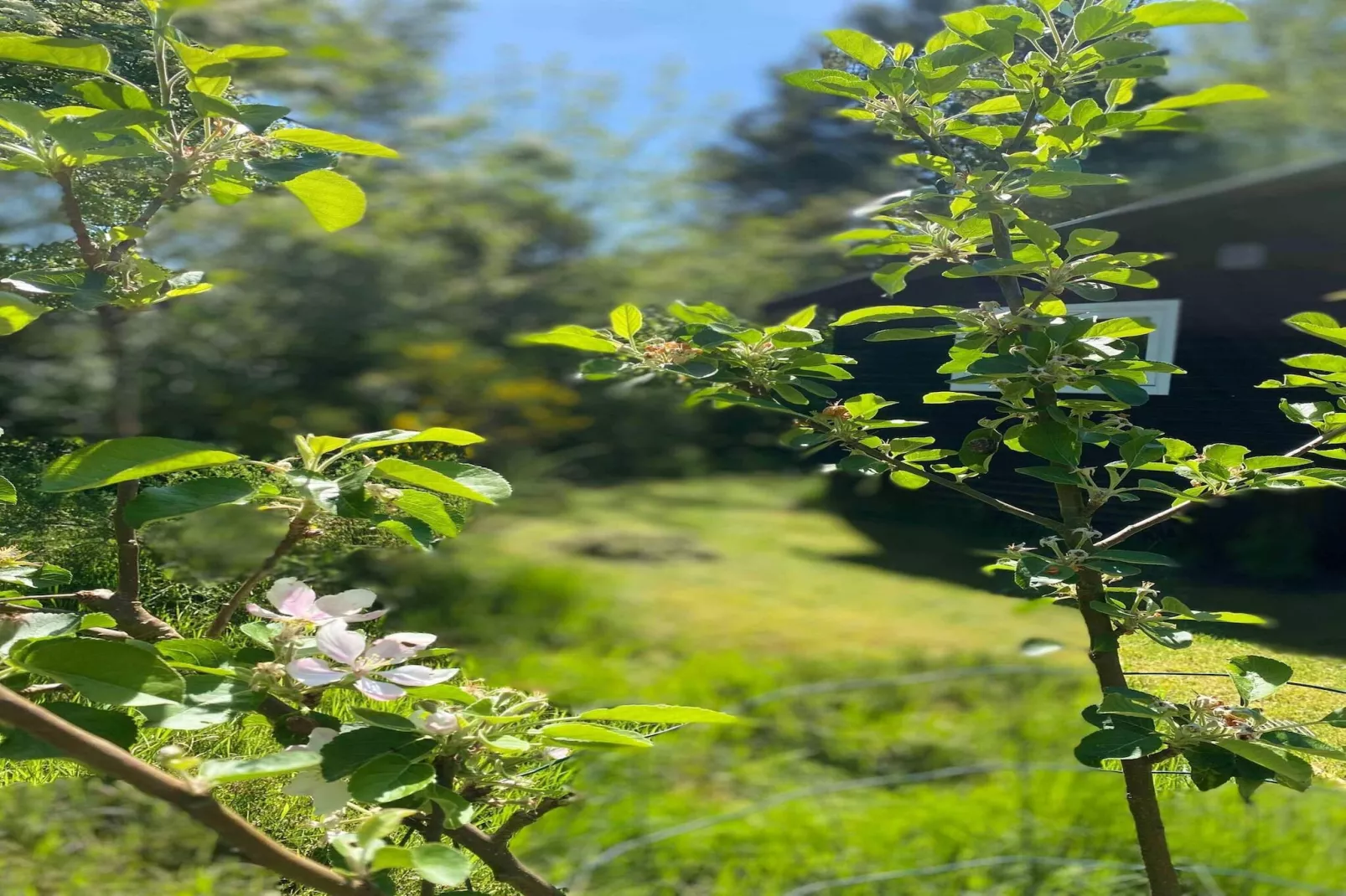 5 sterren vakantie huis in Gørlev-Niet-getagd
