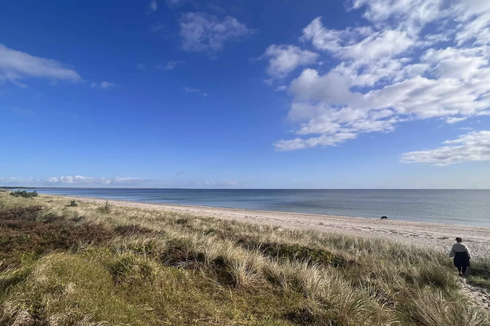 5 sterren vakantie huis in Væggerløse-Niet-getagd