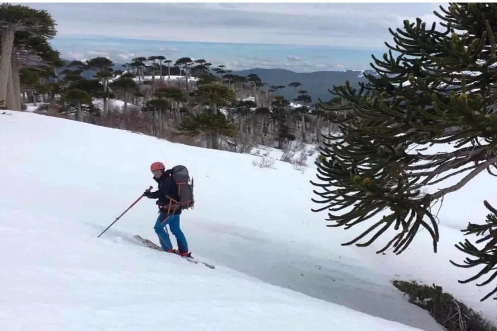 1360-Andres-312-Gebied winter 5km