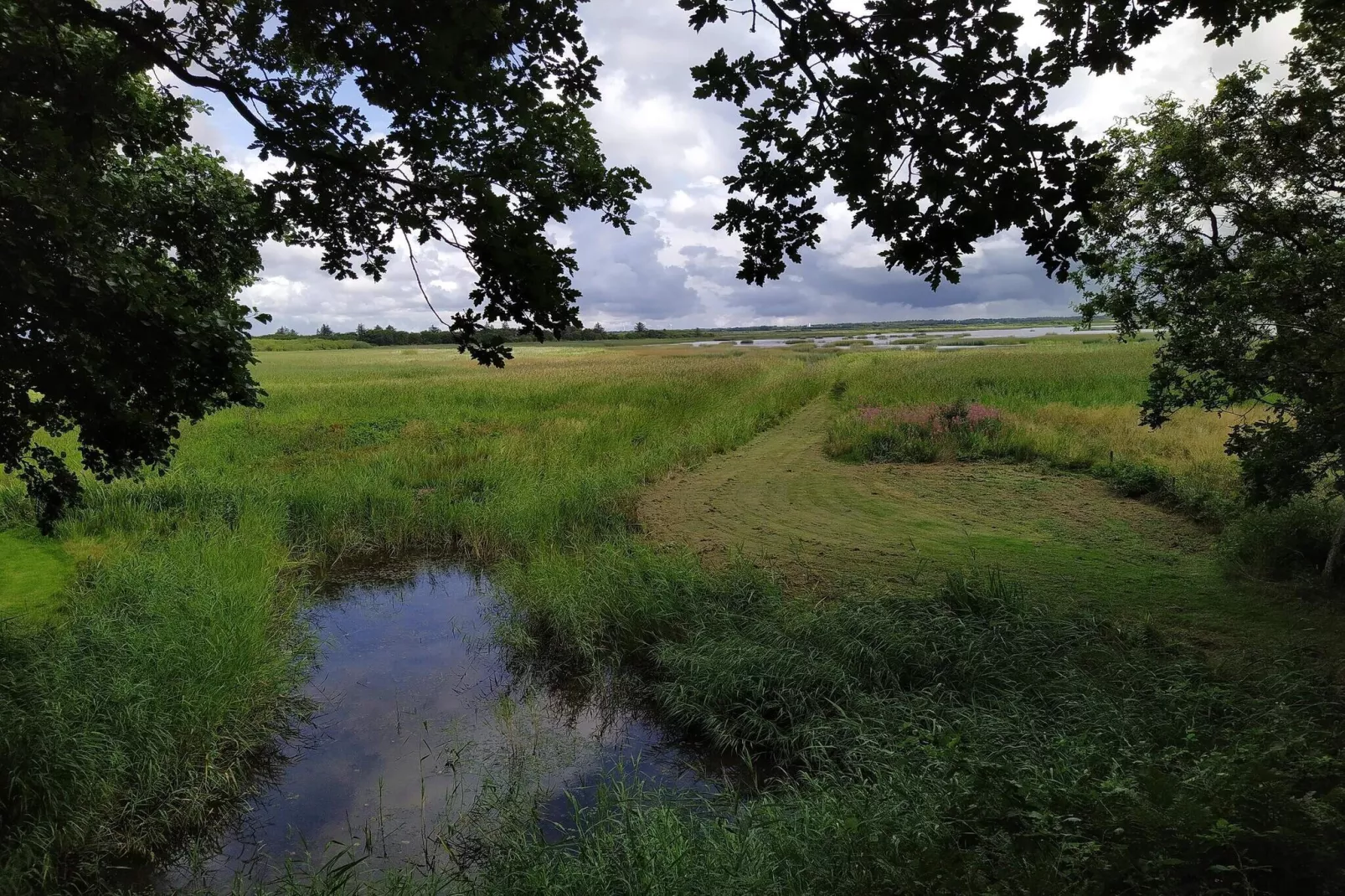 6 persoons vakantie huis in Ulfborg-Waterzicht