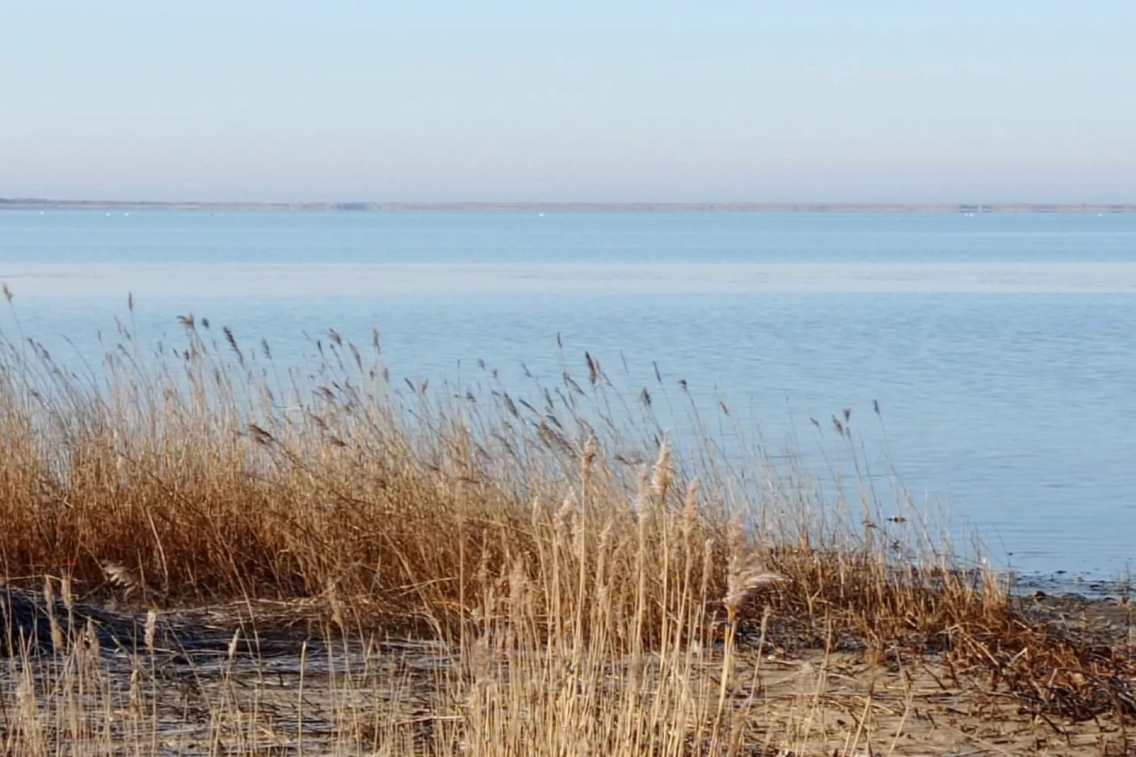 6 persoons vakantie huis in Vemb-Waterzicht